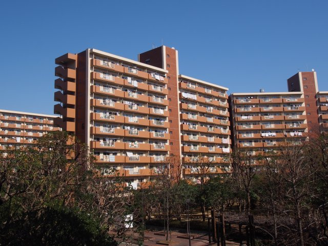 外観：312001303811