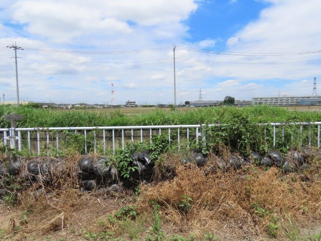 展望