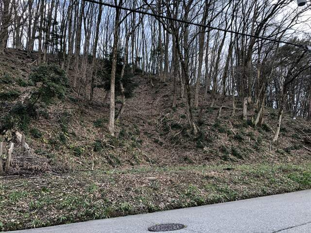 外観：317000004722