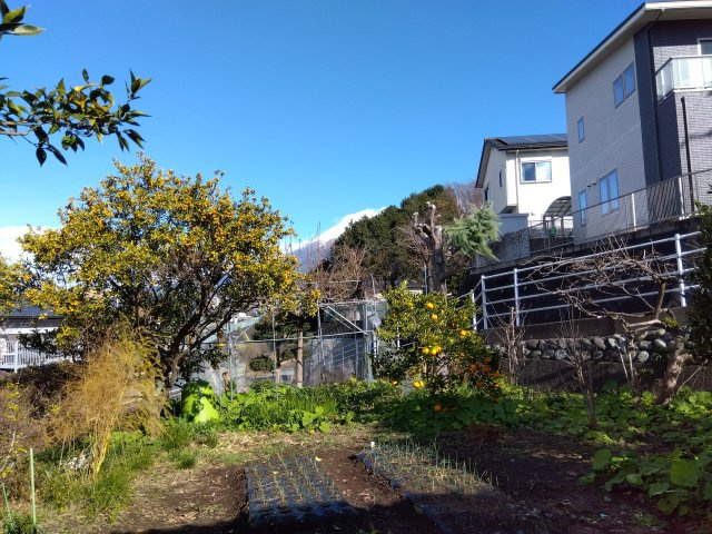 敷地が約190坪と広々としています。自由な間取りでお家が建てられます。駐車場を広く取る事も可能です。