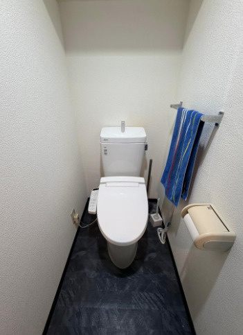 清潔感のあるトイレです