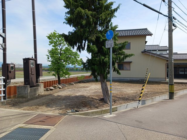 外観：317000011486