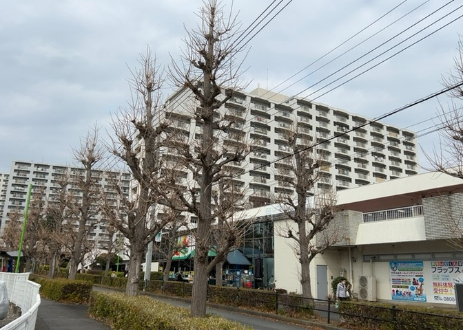 外観：314002549604