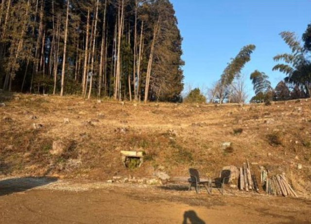 外観：311002323831