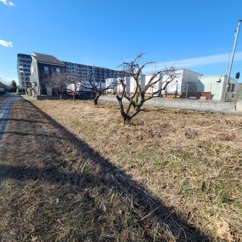 外観：311002173148