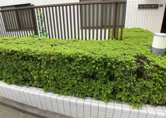 物件によっては、入居者が個人的に使用できる専用庭がついているものもあります。また、住宅の中にある土間の部分を庭と呼ぶこともあります。庭の用途は住む人によって変わり、それによってデザインもさまざまです。