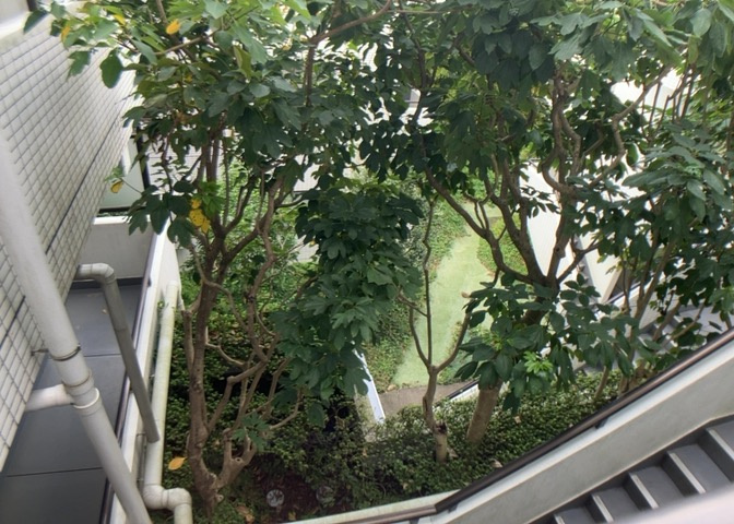 中庭（パティオ）とは、一つの建築物の内部に設けられた、壁などで囲われている庭のことを指します。コの字型、ロの字型が主流ですが、L字型の中庭もあります。最近では、インテリア性の高さからも人気があります。