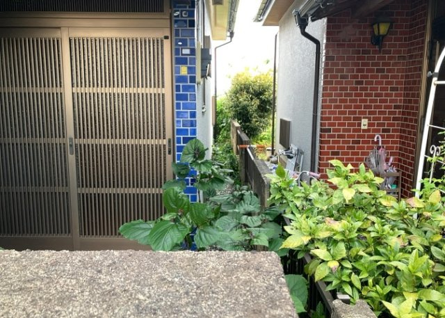 庭があることでガーデニングや家庭菜園はもちろん、こどもの遊び場やペットを放して遊ぶことができます。また、家の周囲に余裕があるということです。隣地との間があれば、十分な日当たりと、風通しが確保できます。