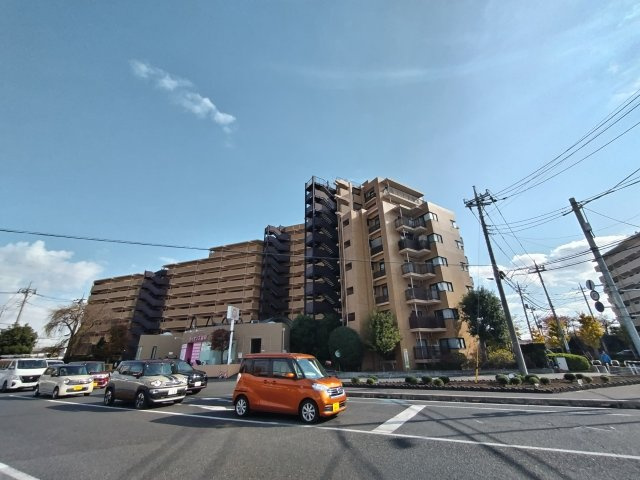 外観：311002303916