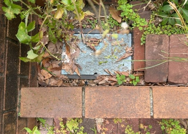 敷地内に散水栓や立水栓があると便利です。水道水を直接利用できるため、水を運ぶ手間を省くことが出来ます。大量の水を必要とする洗車作業や清掃などに役立ちます。その他設備とあわせて、現地でご確認ください。