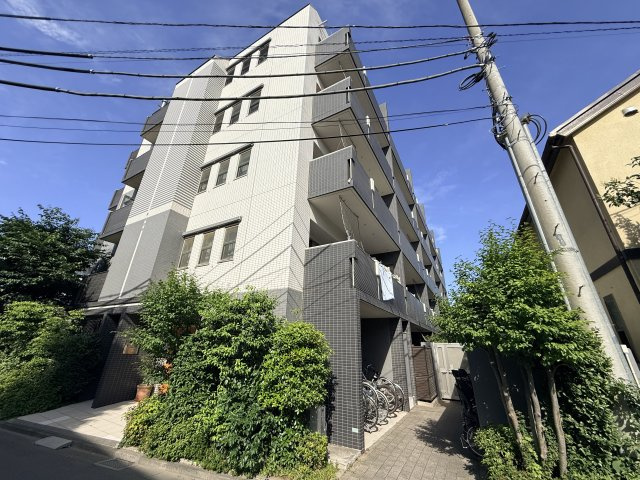 外観：311002459495
