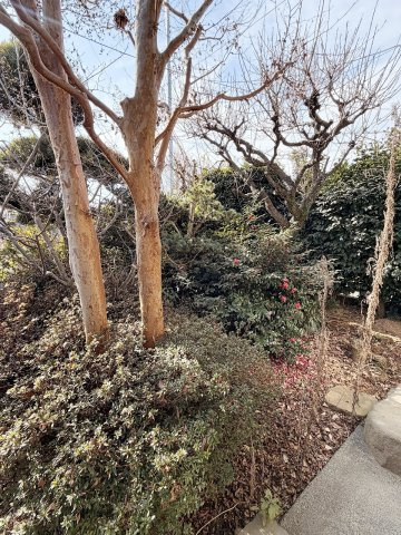 お庭に植木があり、季節を感じます！