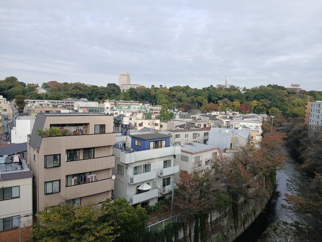 展望