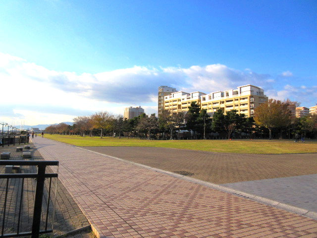 浜辺の公園です。