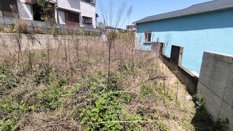 北東側の写真です。