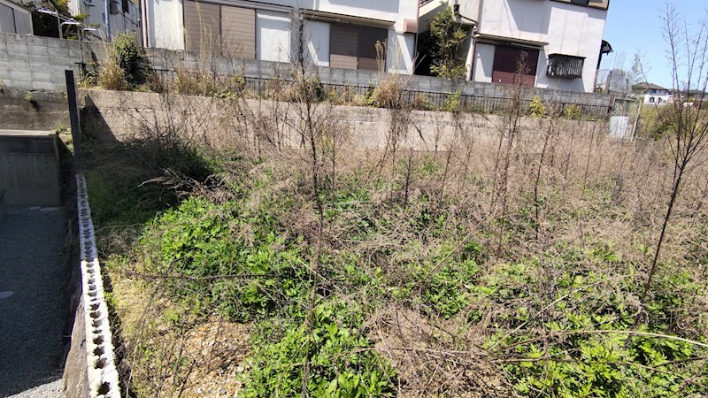 敷地全体写真です。