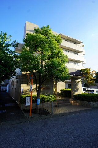 外観：311002245277