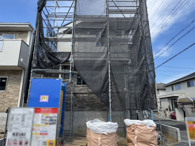 2026年7月3日撮影
