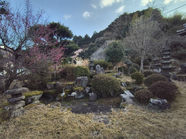 庭