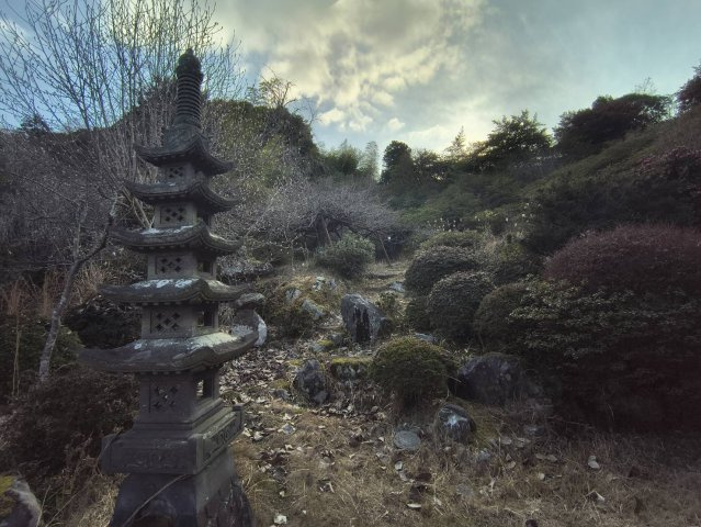 庭