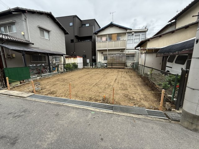 2026年6月8日撮影