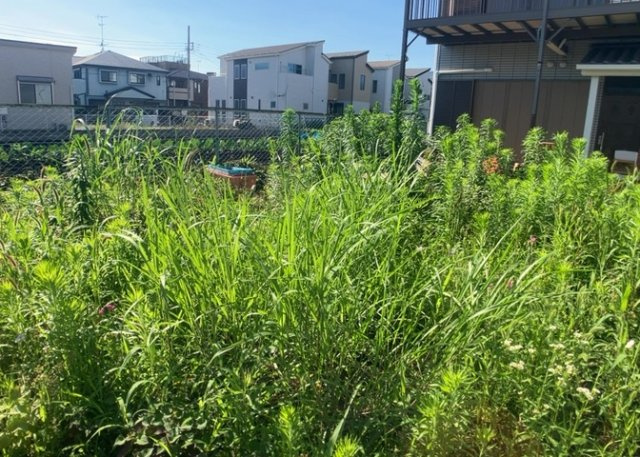 人が暮らすうえで日光は大切な要素となります。日当たりの良さは譲れないポイントですね。併せて近くに大きな建築物の建築予定がないか、あるいはそれが可能な土地が近くにないか事前に確認することもお勧めします。