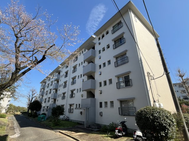 外観：314002699835