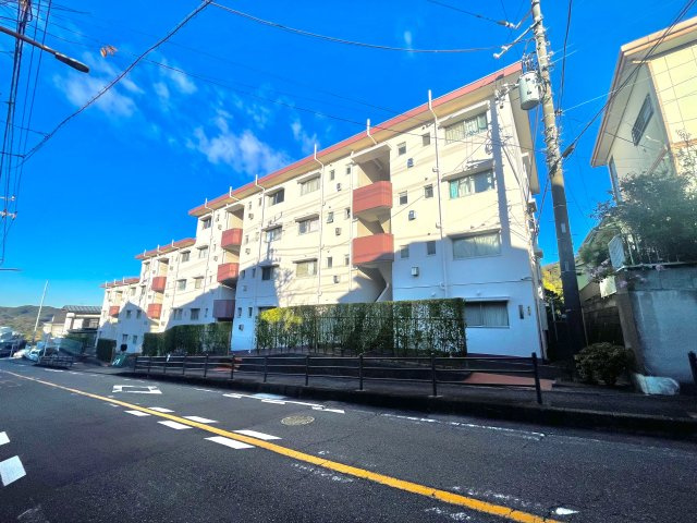 外観：314002668784