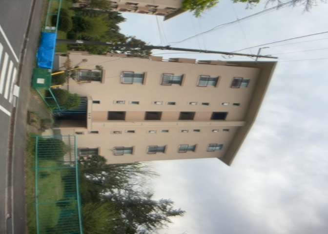 外観：313004736384