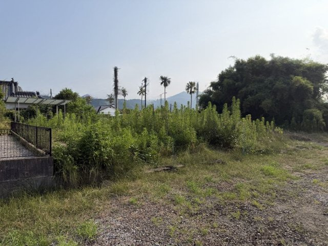 東側部分の土地写真になります。
