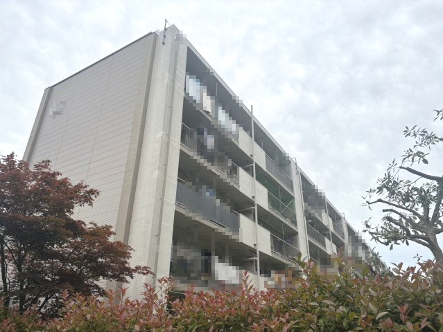 外観：313004235626