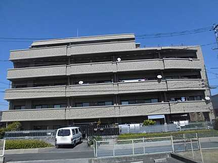 外観：334000233972