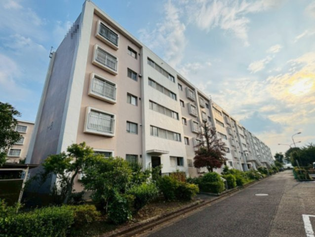 外観：313004706539