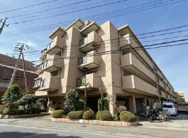 外観：313004508963