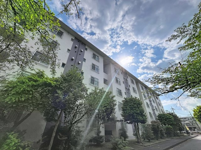 外観：313004607654