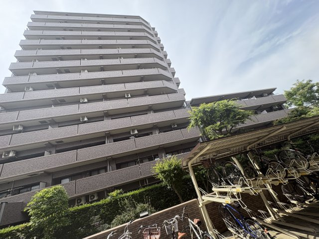外観：313004822611