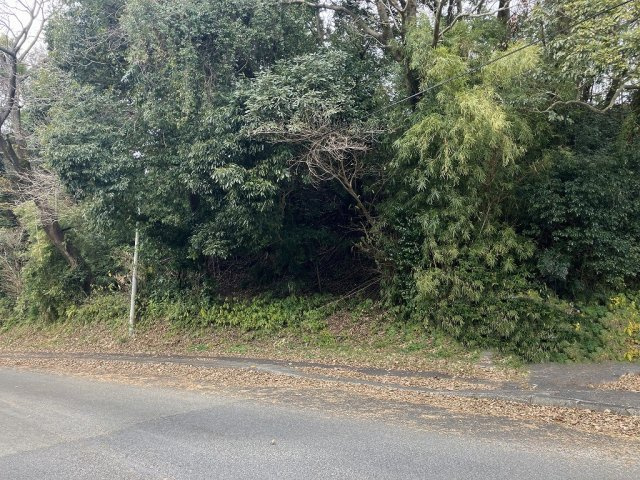 山林部分