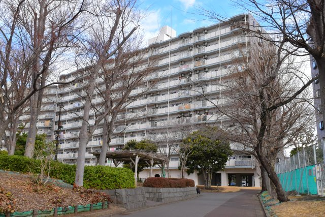 外観：313004661514