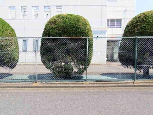 展望