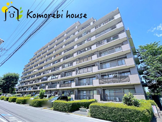 26.5.29　撮影済み