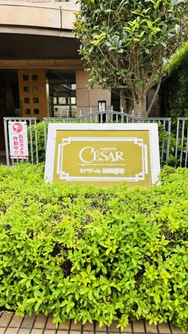 植栽までお手入れが行き届いておりますよ。管理員は日勤で平日の8時から12時の勤務です。