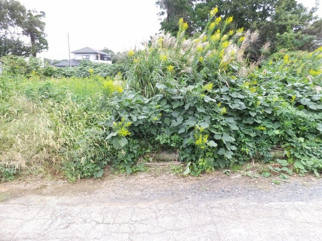 隣地境界
