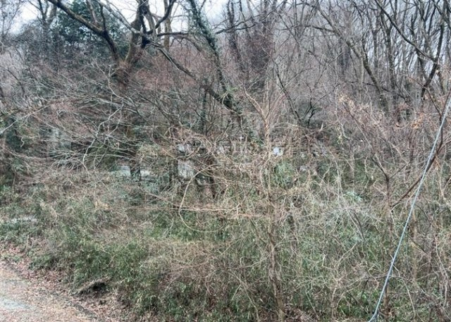 眺望を気にして物件を探す場合、前面に建物が建っていないか現地で確認しましょう！前面に建物があると景色はもちろん、日当たりや風通しにも影響が出てきます。住んだ時のことを想像しながら現地見学をしましょう。