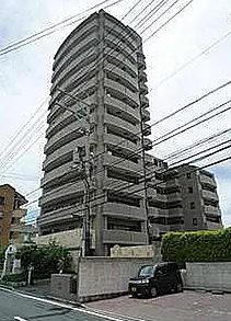 外観：334000241599