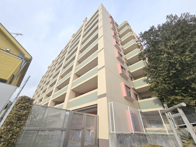 外観：313004600293