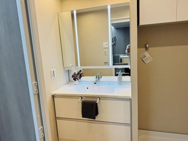 マクシスタワーズアーバンデュオの独立洗面台