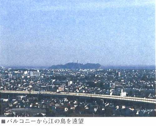展望