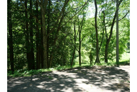 ひるがの高原リゾート翠峯苑②の外観