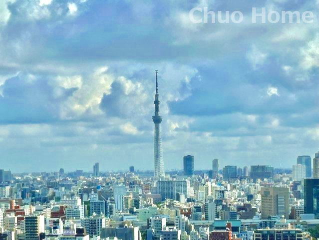 手を伸ばせば、ふれることが出来そうな環境が、そのままインテリアになったような印象です。その豊かな眺望にふさわしい空間には、通風・採光にも優れ、心地よい光と風があふれています
