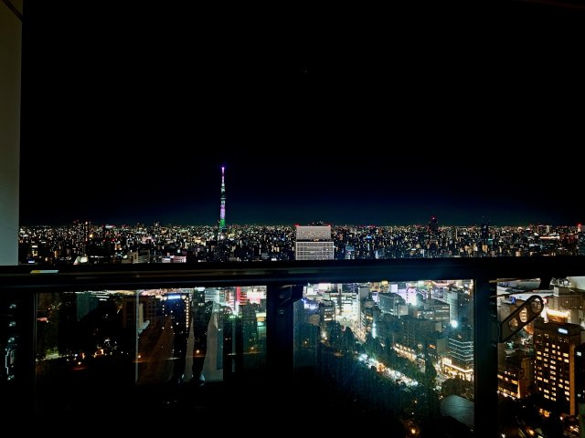 不忍池とスカイツリーを望む眺望